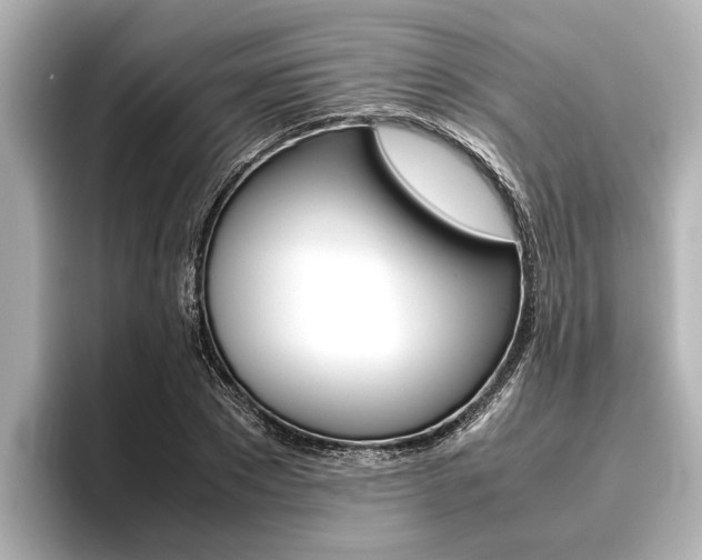 X0000096460881200801241116