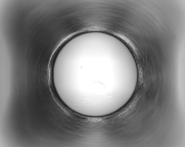 X0000096460886200801241116