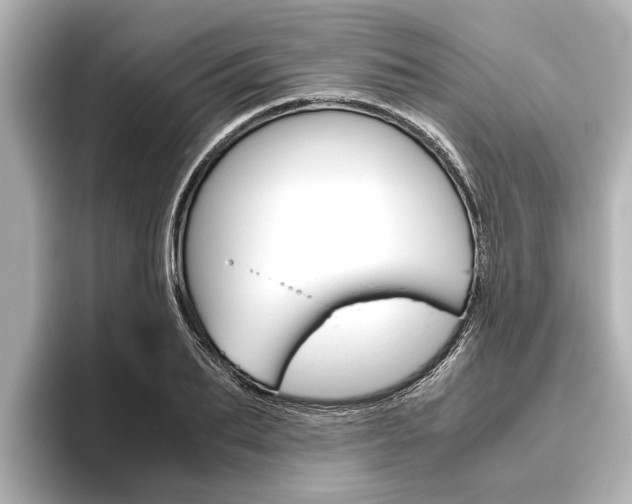 X0000096460887200801241116