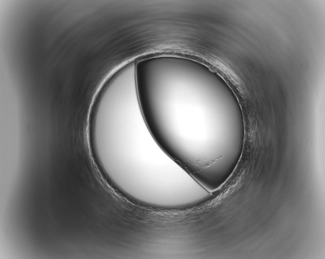 X0000096460888200801241116