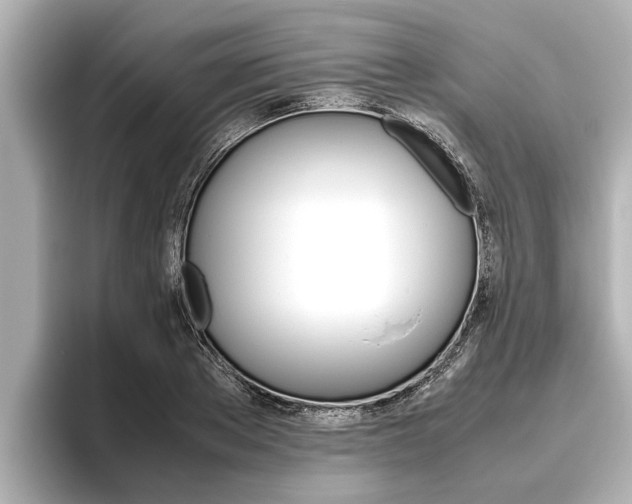 X0000096460889200801241116