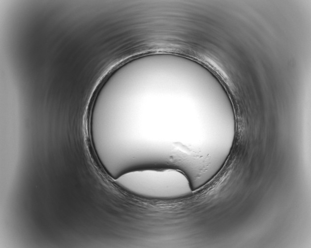 X0000096460891200801241116