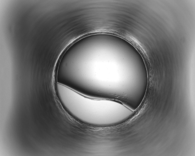 X0000096460892200801241116
