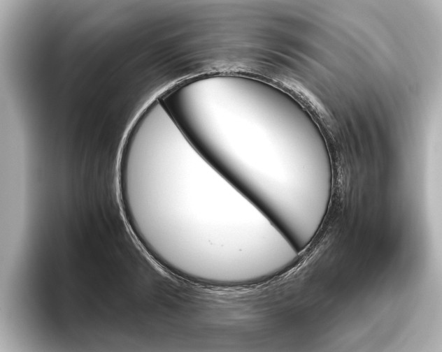 X0000096460894200801241116