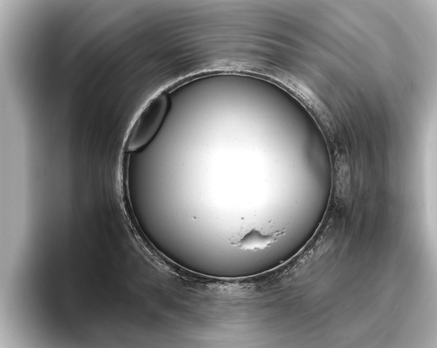 X0000096460896200801241116