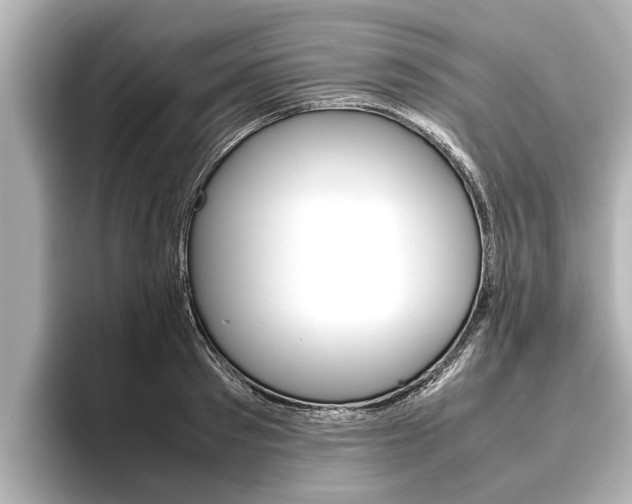 X0000096460897200801241116