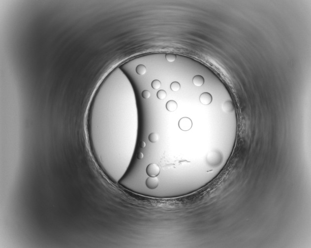 X0000096460899200801241115