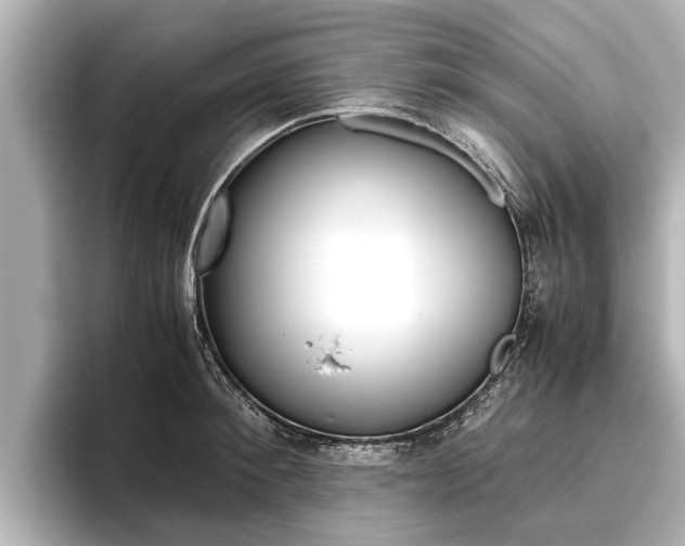 X0000096460900200801241115