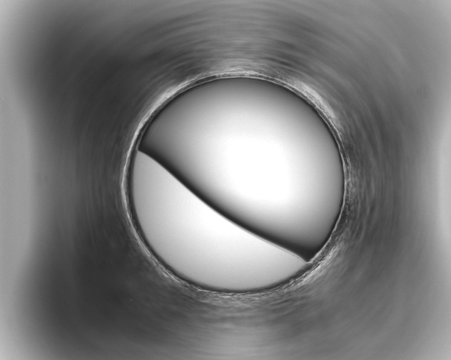 X0000096460901200801241115