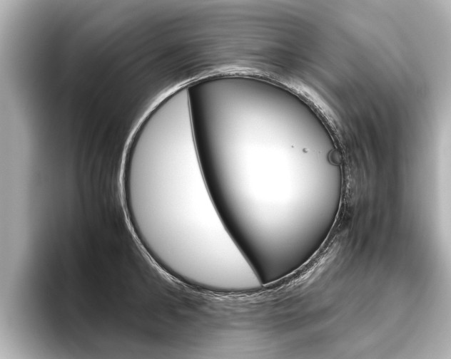 X0000096460902200801241115