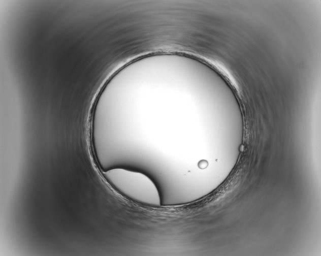 X0000096460903200801241115