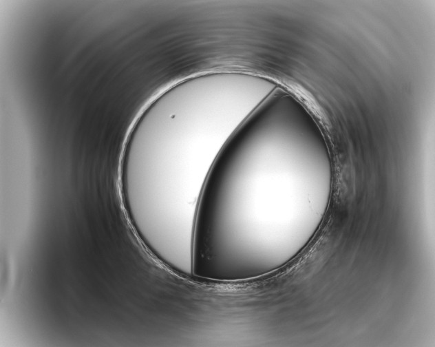 X0000096460904200801241115