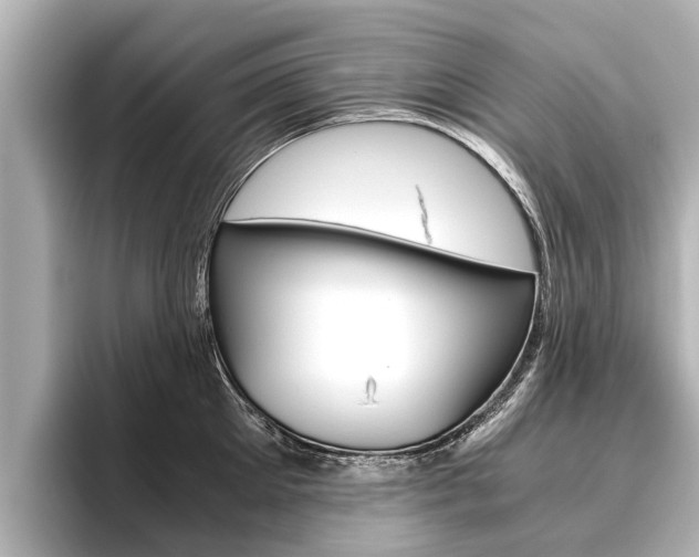 X0000096460905200801241115
