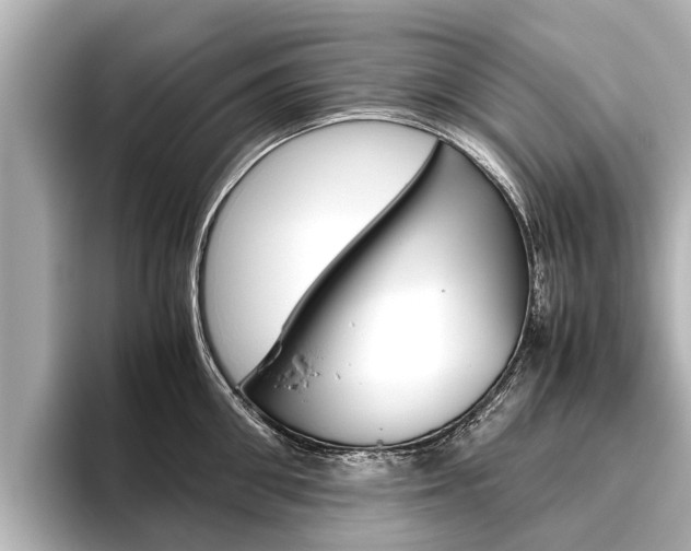 X0000096460906200801241115