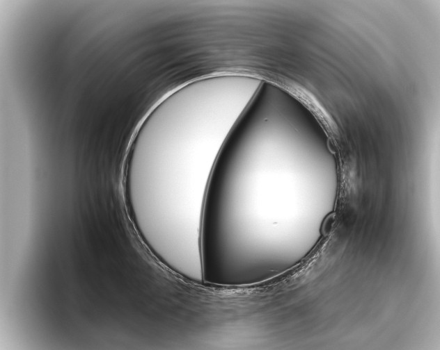 X0000096460908200801241115
