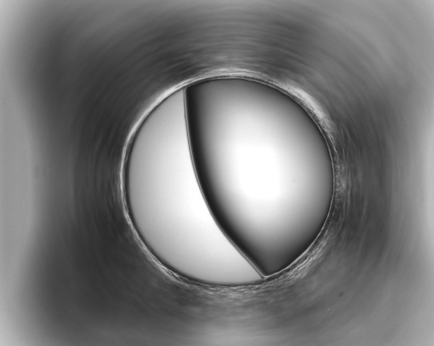 X0000096460910200801241115