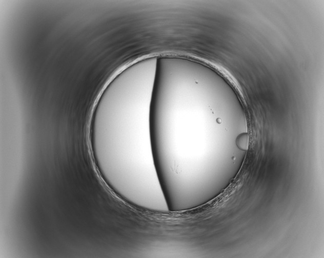 X0000096460911200801241115