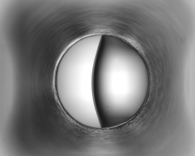 X0000096460912200801241115