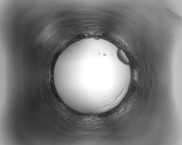 X0000096460915200801241115