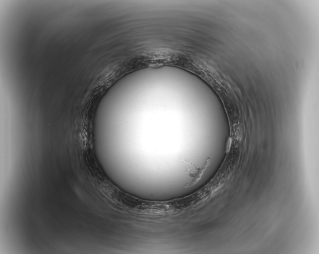 X0000096460916200801241115
