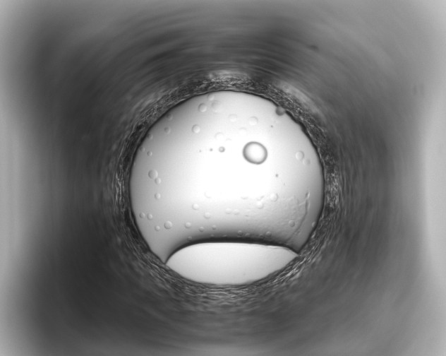 X0000096460917200801241115