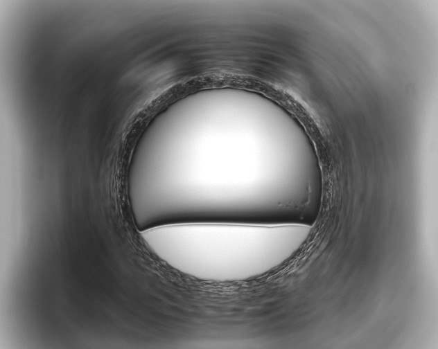 X0000096460919200801241115