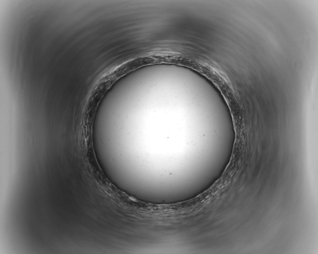 X0000096460920200801241115