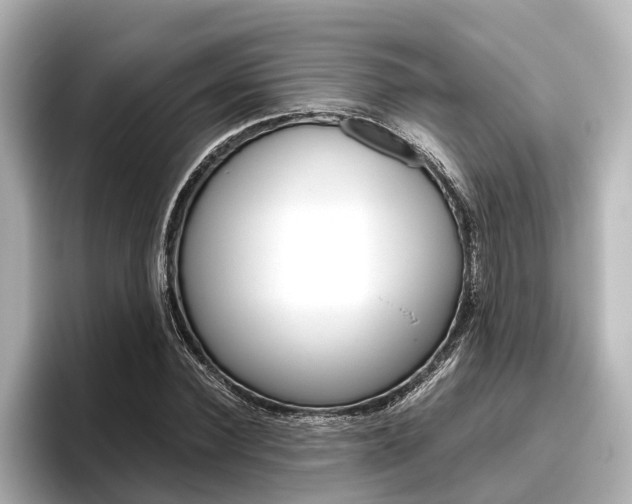 X0000096460924200801241115