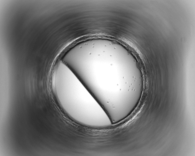 X0000096460925200801241115