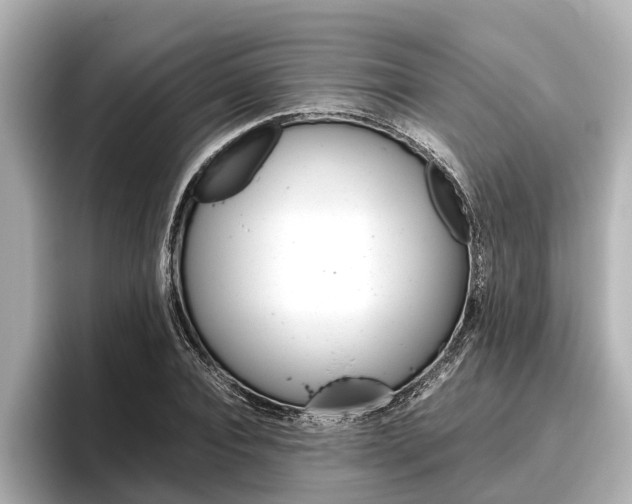 X0000096460928200801241115
