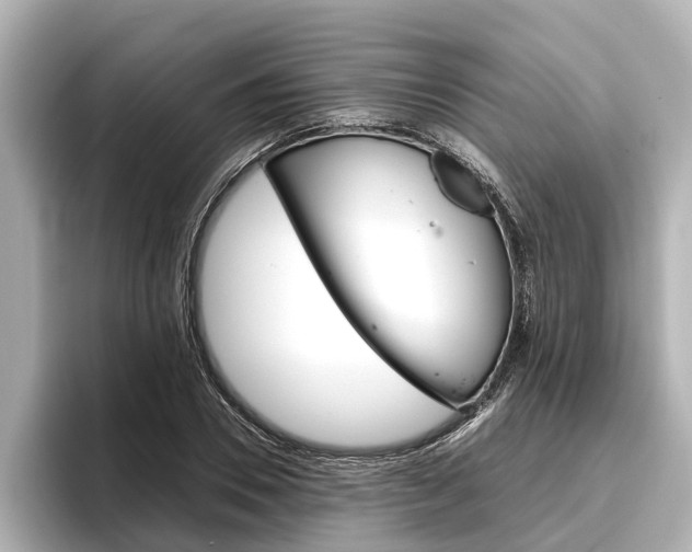 X0000096460930200801241115
