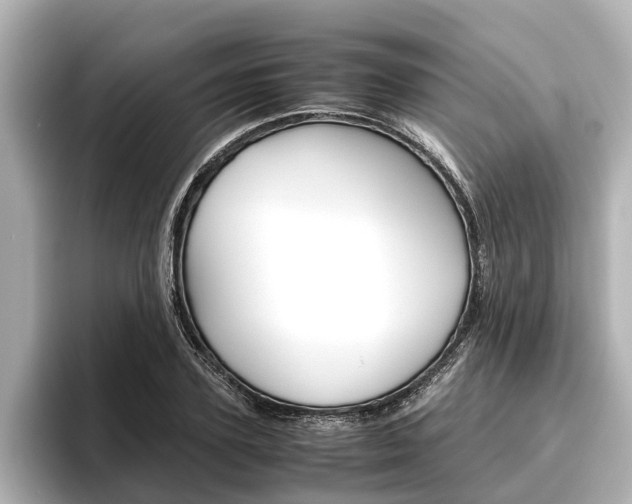 X0000096460931200801241115