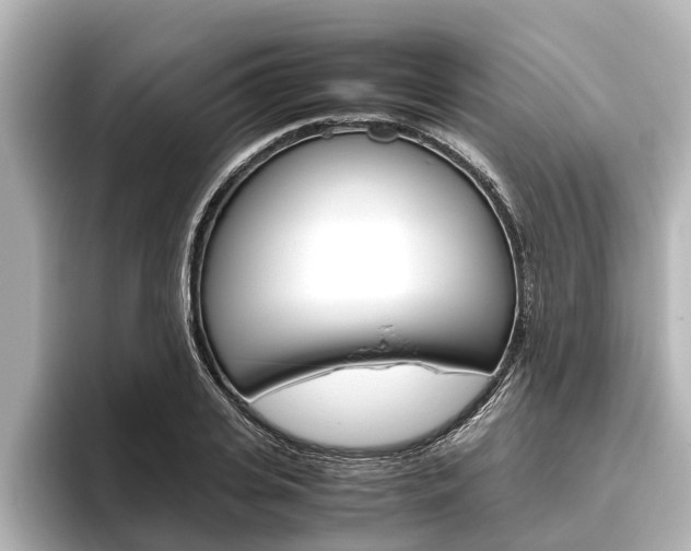 X0000096460935200801241115