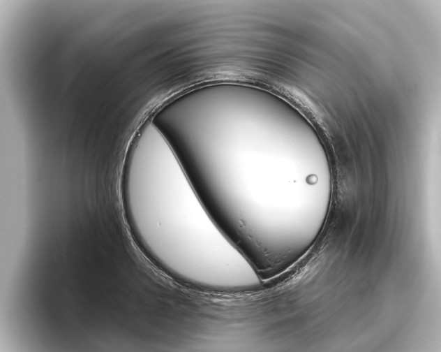 X0000096460938200801241115