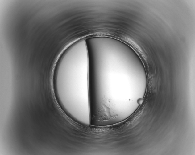 X0000096460939200801241115