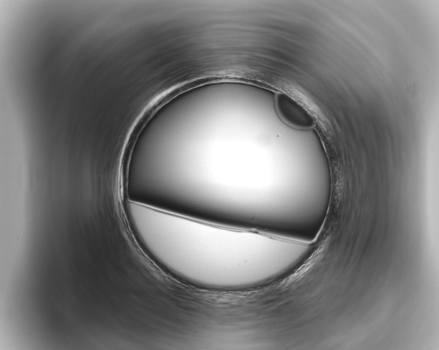 X0000096460940200801241115