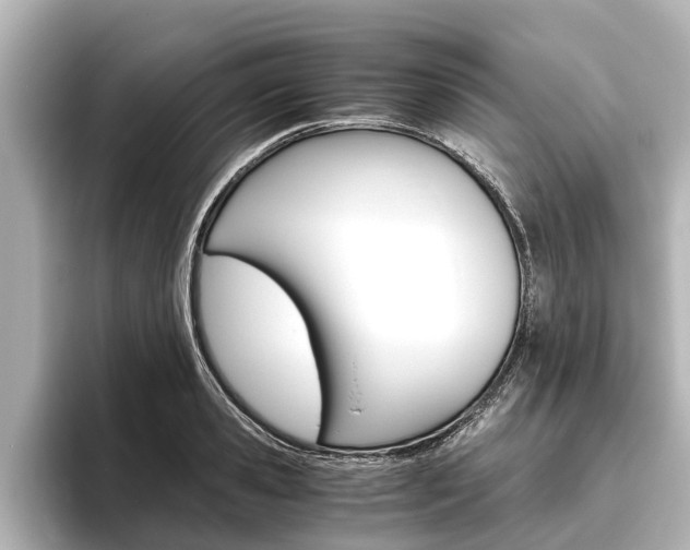 X0000096460941200801241115