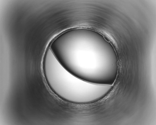 X0000096460944200801241115