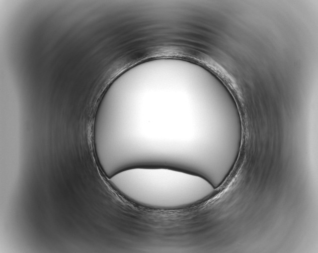X0000096460945200801241115