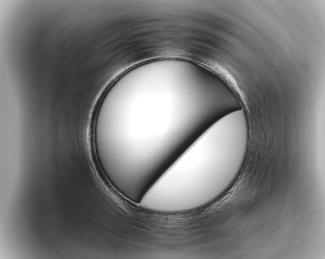 X0000096460947200801241115