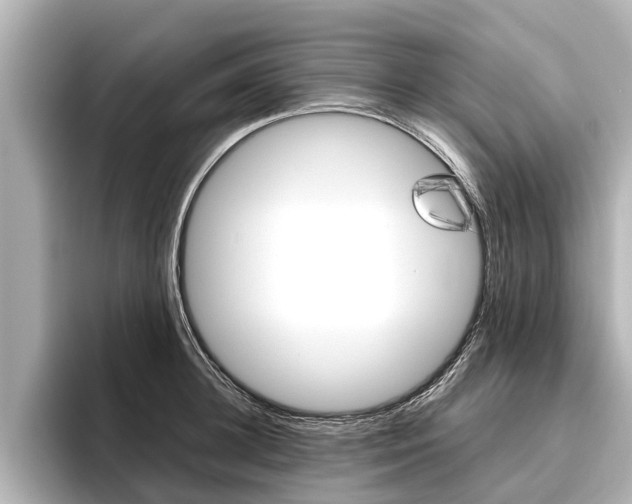 X0000096460948200801241115