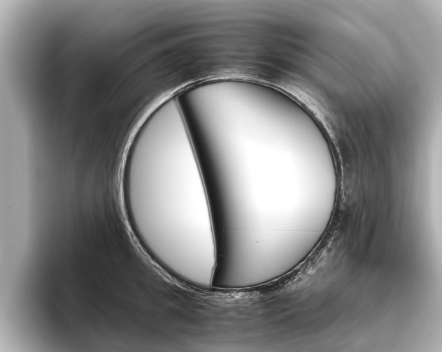 X0000096460949200801241115