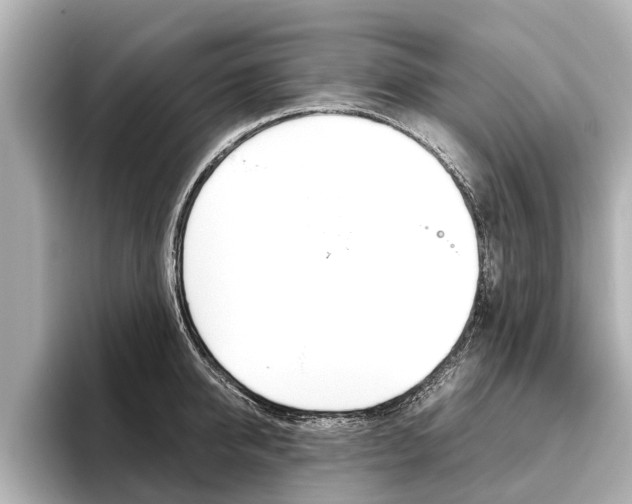 X0000096460950200801241115