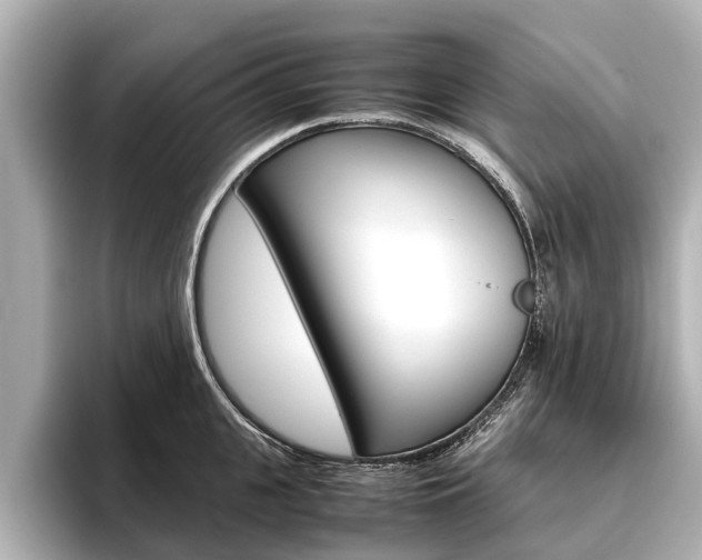 X0000096460951200801241115