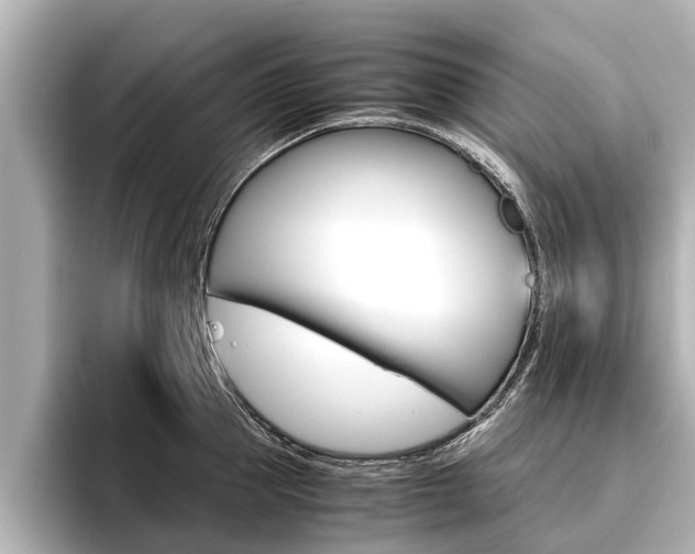 X0000096460953200801241115