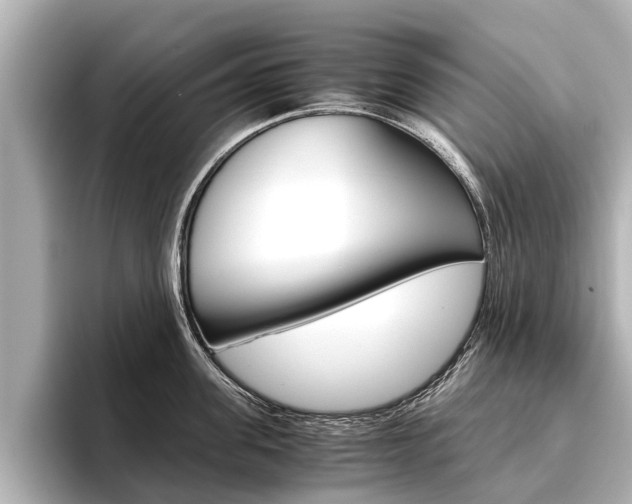 X0000096460955200801241115
