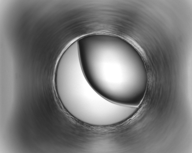 X0000096460956200801241115