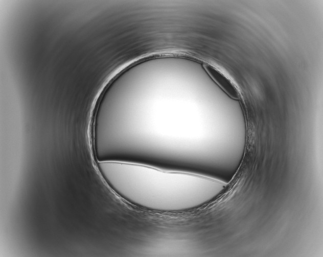 X0000096460959200801241115