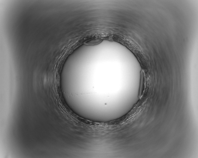 X0000096460961200801241115