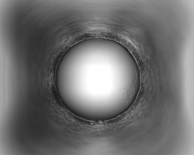 X0000096460965200801241115